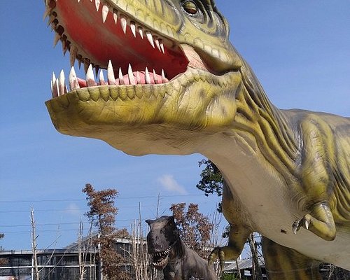 Don Hu Jurassic Garden Muar
