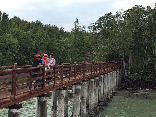 Pulau Kukup National Park
