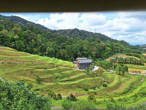 Talula Hill Farm Resort